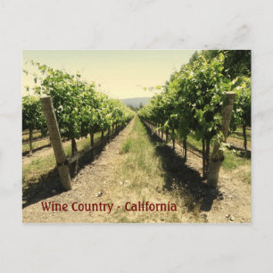 Wine Country Postcard! Postcard