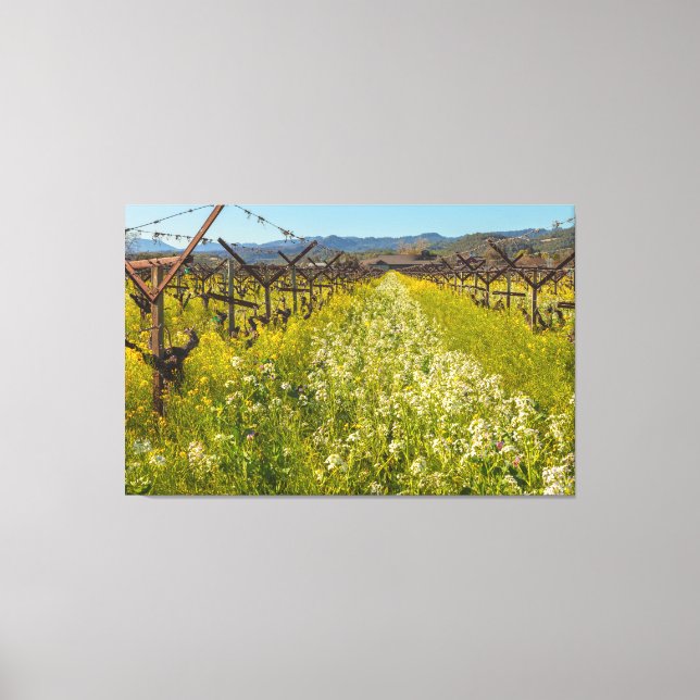 Wine Country Spring Canvas Print (Front)