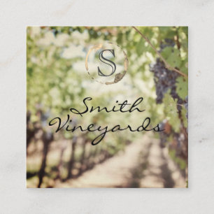 Wine Glass Vineyard Grapes Square Business Card