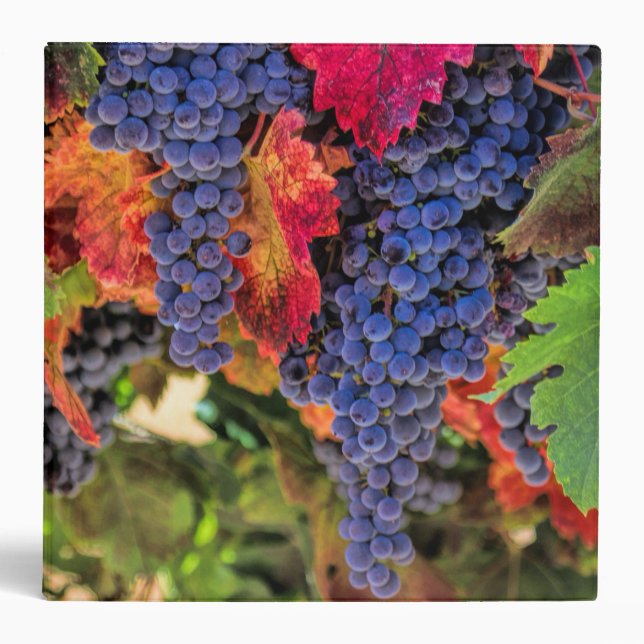 Wine Grape Themed Notebook 3 Ring Binder (Front)