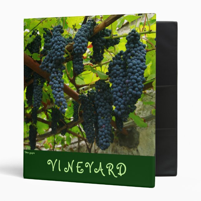 Wine grapes binder (Front/Inside)