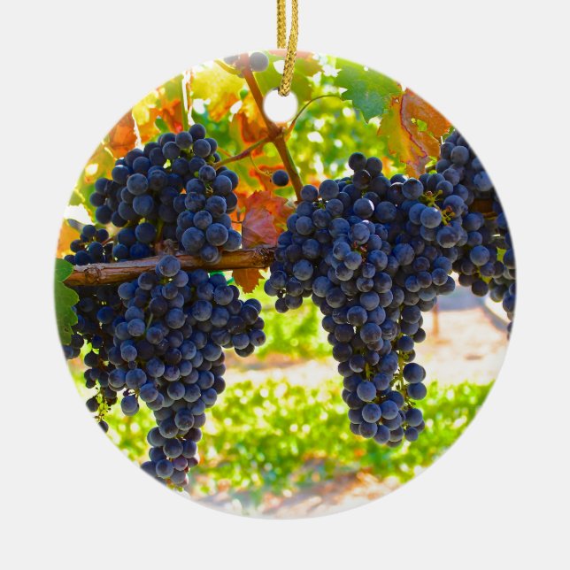 Wine grapes ceramic ornament (Front)