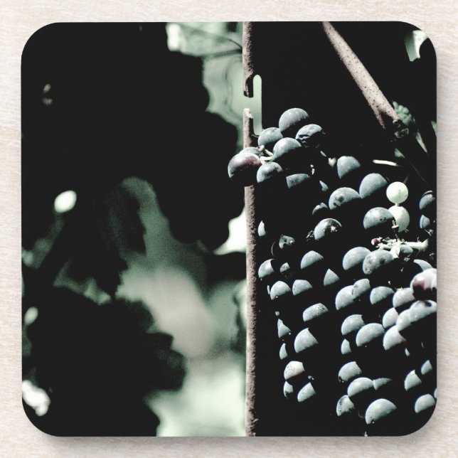 Wine Grapes Coaster (Front)