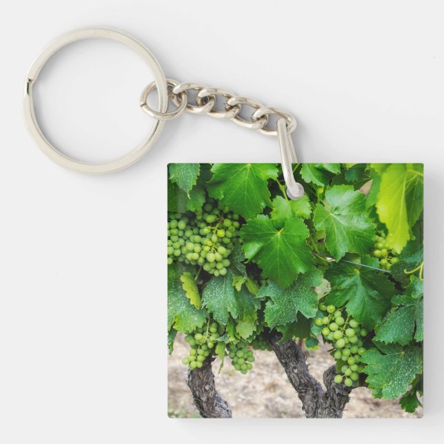 Wine Grapes Growing, France Keychain (Front)