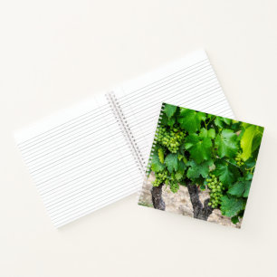 Wine Grapes Growing, France Notebook