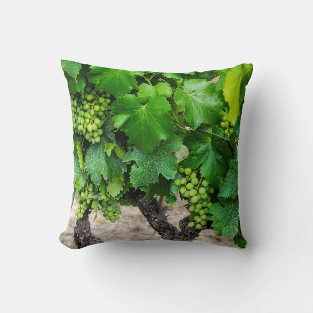 Wine Grapes Growing, France Throw Pillow (Front)