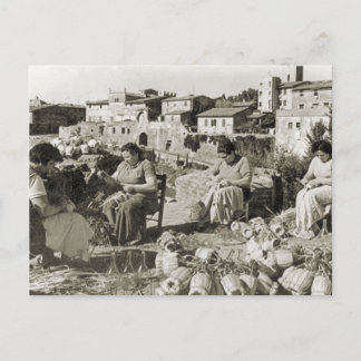 Wine making Chianti bottle covers Postcard