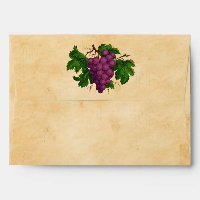 Wine Party Theme Vintage Purple Grapes Parchment Envelopes (Back (Top Flap))