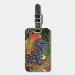 Wine Vineyard Luggage Tags