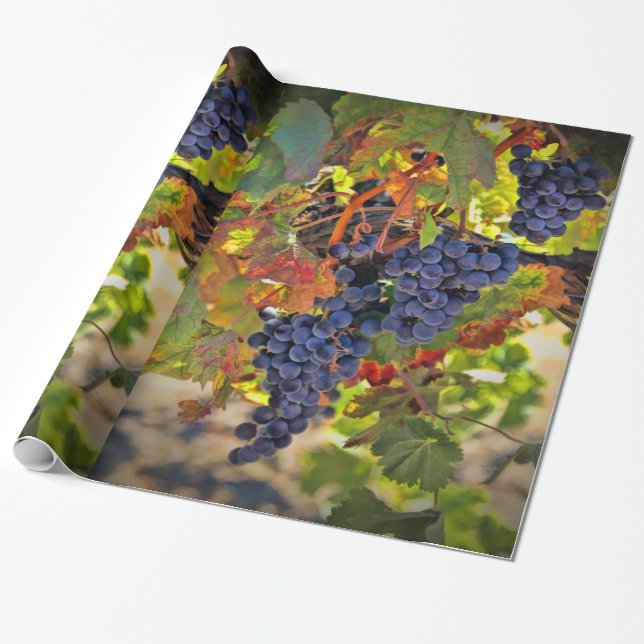Wine Vineyard Wrapping Paper (Unrolled)