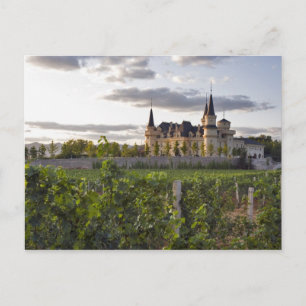 Winery building seen from the vineyard at postcard