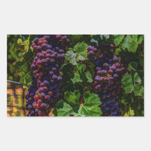 Winery Grapevine sunny tuscany vineyard grapes Sticker