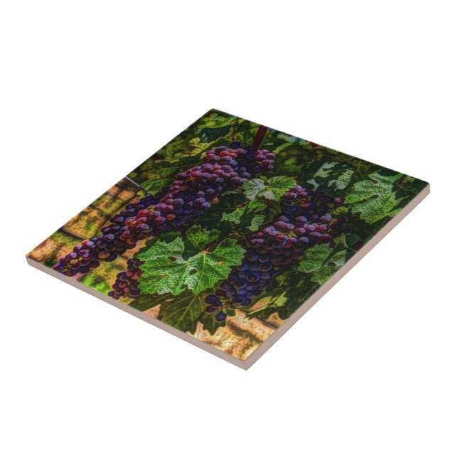 Winery Grapevine sunny tuscany vineyard grapes Tile (Side)