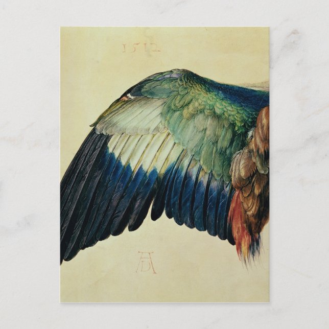 Wing of a Blue Roller, 1512 Postcard (Front)
