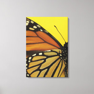 Wing of a butterfly canvas print