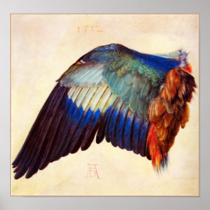 WING OF AN EUROPEAN ROLLER POSTER