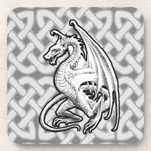 Winged Dragon Coaster