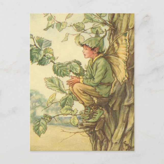 Winged Elm Fairy Sitting in a Tree Postcard (Front)