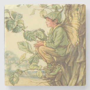 Winged Elm Fairy Sitting in a Tree Stone Coaster