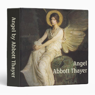Winged Figure Seated Upon a Rock by Abbott Thayer Binder