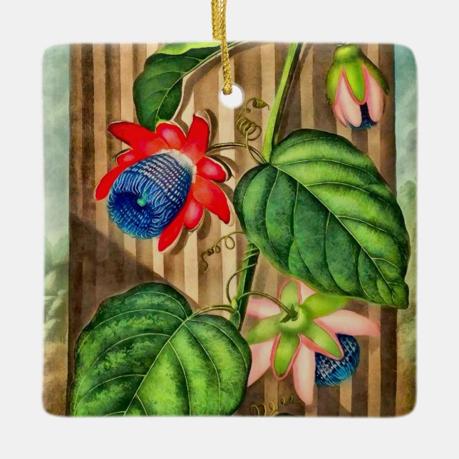 Winged Passion-Flower Temple of Flora - Christmas Ceramic Ornament (Front)