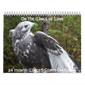 Winged Spirts 2013 24 month calender Calendar