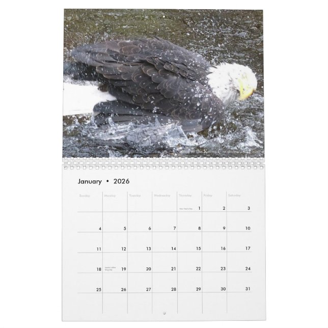 Winged Spirts 2013 24 month calender Calendar (Jan 2026)