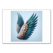 Wings (羽 / はね) - Japanese Flash Cards