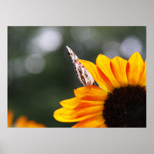 Wings Between Poster