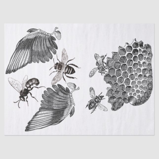 Wings Junk Journal Elements Decoupage Sheet (Front)