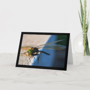 Wings of a Dragonfly Card