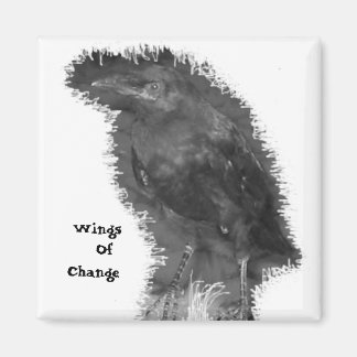 Wings Of Change Magnet