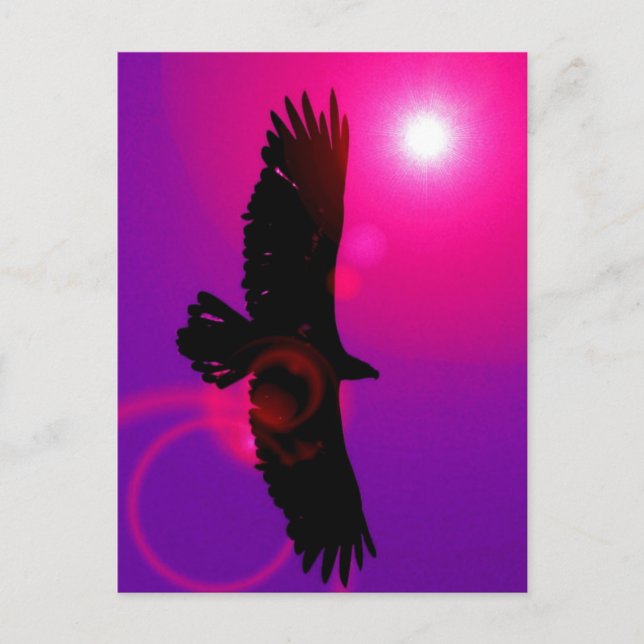 Wings of Eagle Postcard (Front)