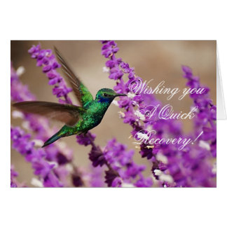 Wings of Faith Sparkling Violet-ears Hummingbird