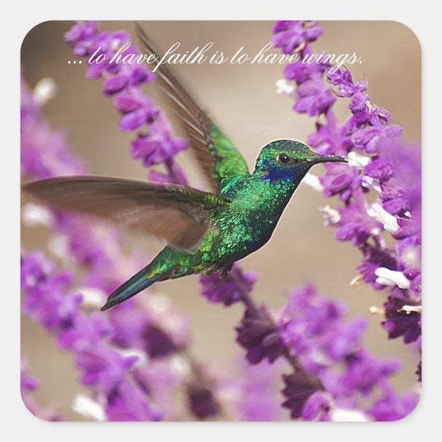 Wings of Faith Sparkling Violet-ears Hummingbird Square Sticker (Front)