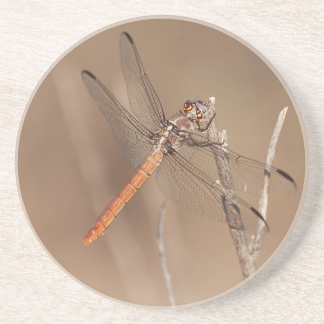 Wings of Gold Dragonfly Coaster (Front)