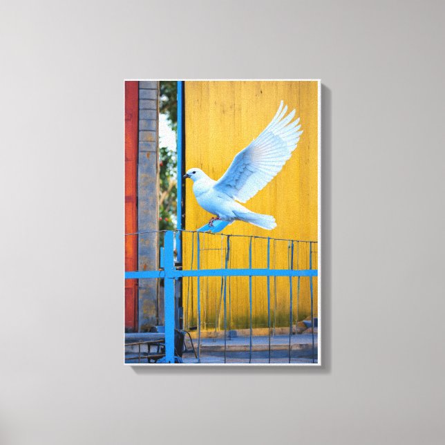 Wings of Peace Canvas Print (Front)