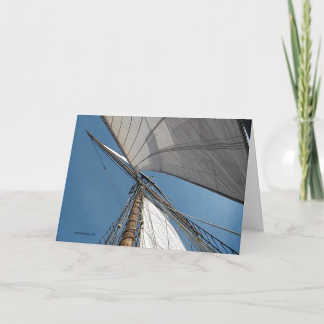 wings on the wind card (Front)