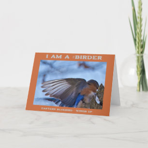 Wings Up Eastern Bluebird Birder Card