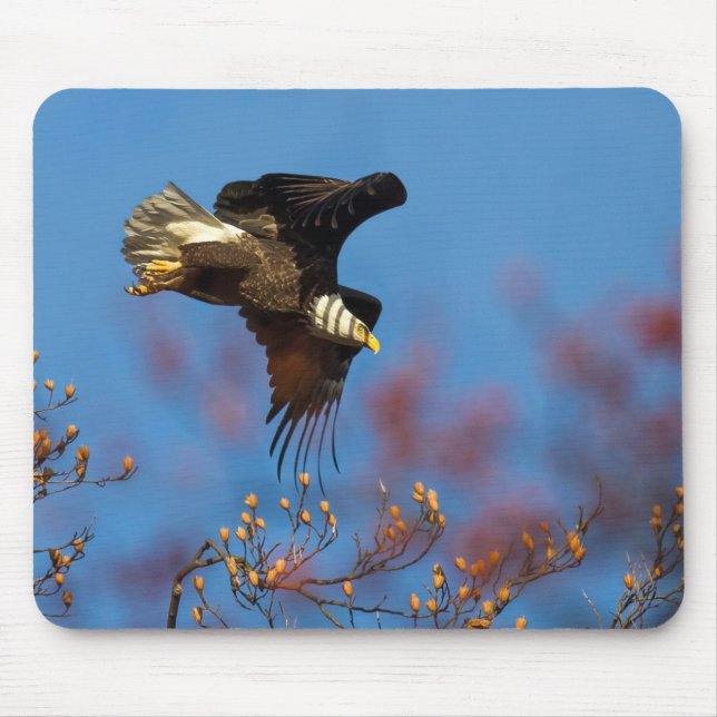 Wingshadow Mouse Pad (Front)