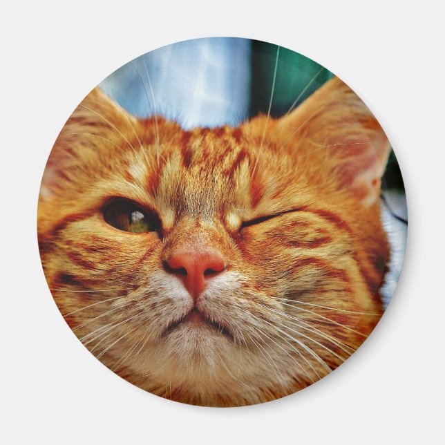 Wink kitty magnet (Front)