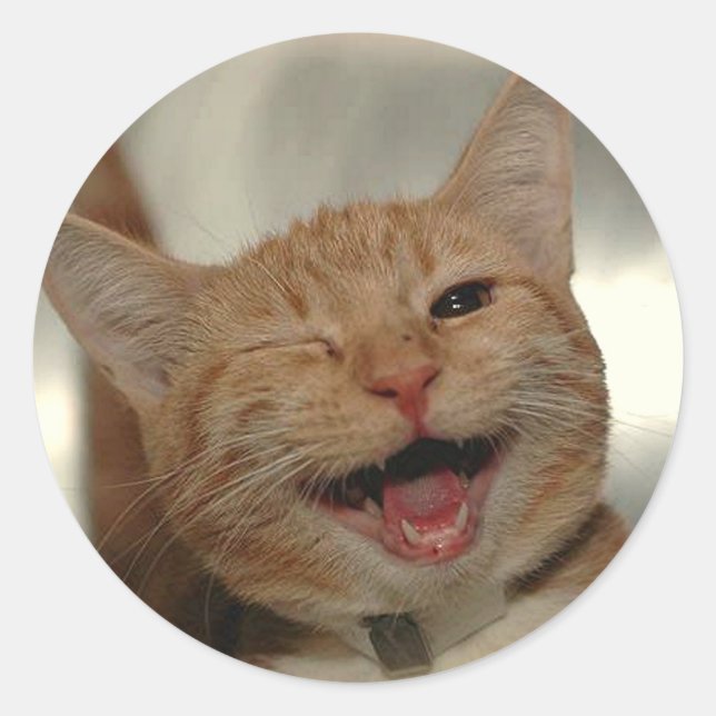 Winking Happy Ginger Cat Classic Round Sticker (Front)