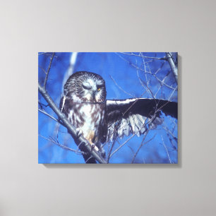 Winking owl canvas print
