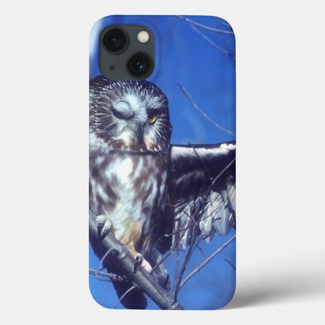 Winking owl Case-Mate iPhone case (Back)