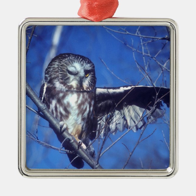 Winking owl metal ornament (Front)