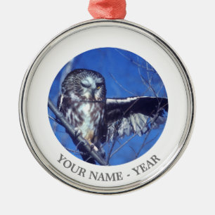 Winking owl metal ornament