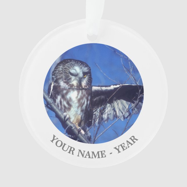 Winking owl ornament (Front)