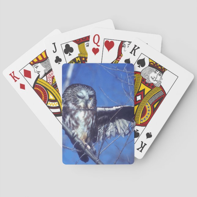 Winking owl playing cards (Back)