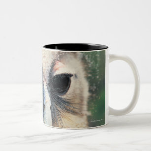 Winking Owl Two-Tone Coffee Mug