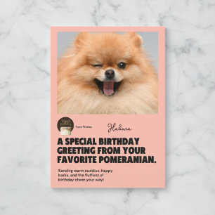 Winking Pomeranian Birthday Card